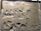 Sacrificial animals - B. Bilgin, 2022