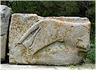 Right wing lion - E. An�l, 2011