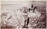 J. H. Haynes, 1881