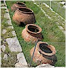 Depolama k�pleri - E. An�l, 2011