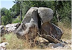 �ift aslanl� kaide par�alar� - T. Bilgin 2009