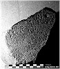 ERE�L� 2 - Ta� & Weeden, 2011