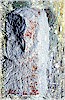 Do�u kanad� aslanlar�na ait(?) bir par�a - S. Aro 2023 (1998)