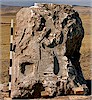 Kayal�p�nar Kaz� Ar�ivi, 2005