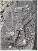 Sol kanattaki tanr� (Nr. 67) - E. An�l, 2011