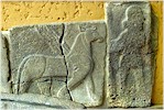 Vorderasiatisches M�zesi